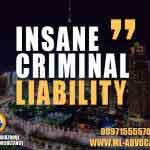 Insane-Criminal-Liability