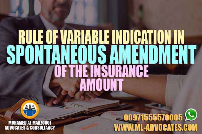 Rule of Variable Indication in Spontaneous Amendment of the Insurance Amount