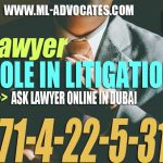 Lawyer Role In Litigation